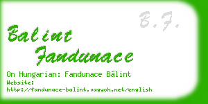 balint fandunace business card